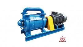 F2SK系(xi)列(lie)耐(nai)腐蝕(shi)真(zhen)空(kong)泵