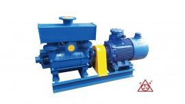 F2BE系(xi)列(lie)耐(nai)腐蝕(shi)真(zhen)空(kong)泵