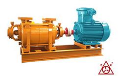 防(fang)腐(fu)真空(kong)泵(beng)