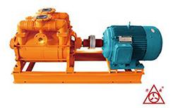 F2BE系(xi)列(lie)耐腐(fu)蝕真空(kong)泵(beng)