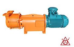 F2BV系(xi)列(lie)耐腐(fu)蝕真空(kong)泵(beng)